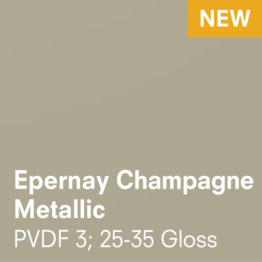 Epernay Champagne Metallic (3.5 x 5.5)